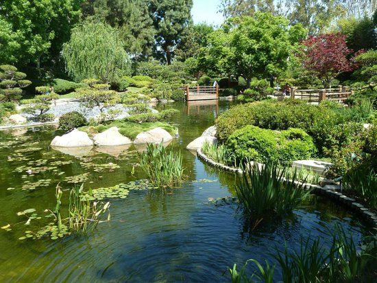 Earl Burns Miller Japanese Garden